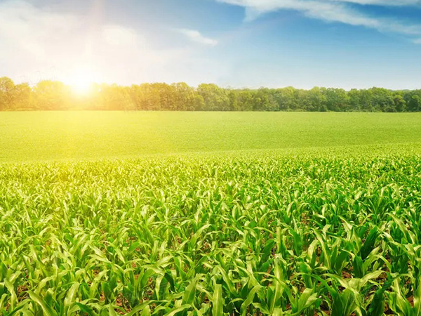 ũ�������